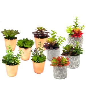 Мини изкуствени сочни растения с декоративен декор за глобус на плота за саксия на плота и плот